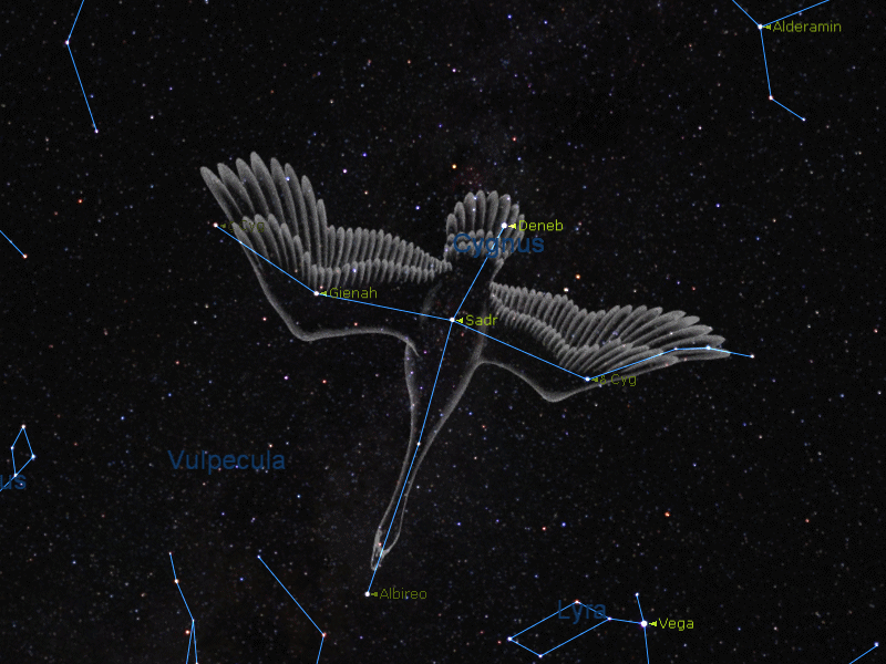 Constellation du Cygne