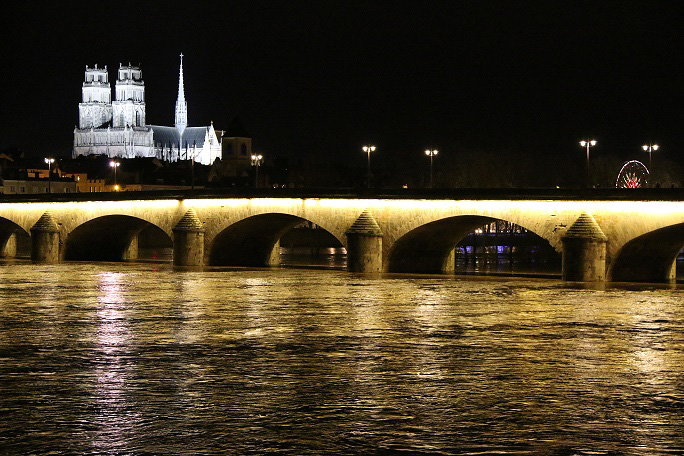 Orlans cathdrale (45)