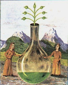 vitryol (l'or y vit) philosophique, ou l'or vert et vgtatif